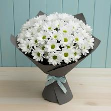 Букет цветов из:  Хризантемы #REPLACE_PRED# Табунах