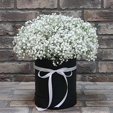Цветочная композиция из Гипсофила в шляпной коробке в Табунах