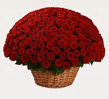 Премиум букет из: Розы в Табунах